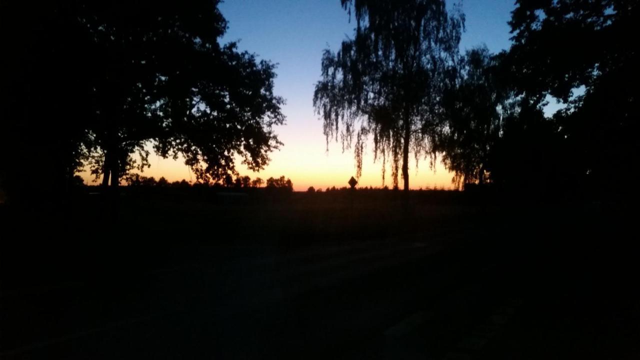 Entspannen & Wohlfuehlen In Der Lueneburger Heide Vierhofen Ngoại thất bức ảnh